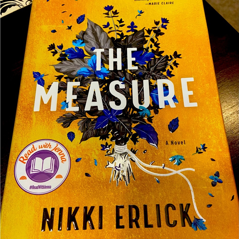 The Measure by Nikki Erlick